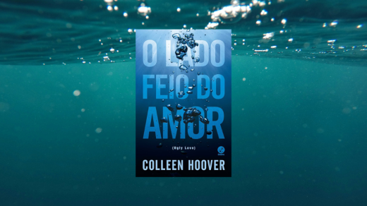 sinopse-o-lado-feio-do-amor-livro