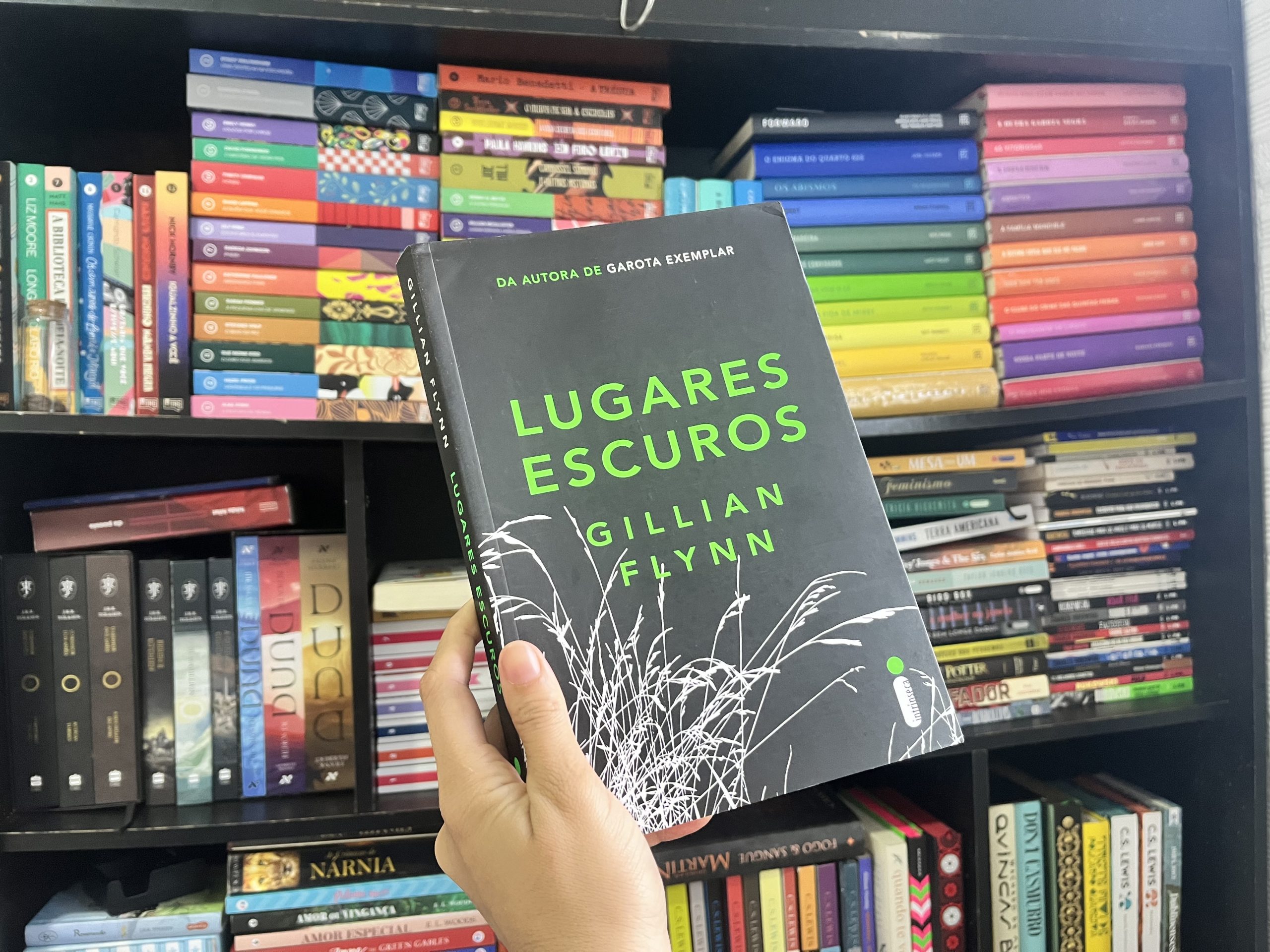 lugares-escuros-de-gillian-flynn