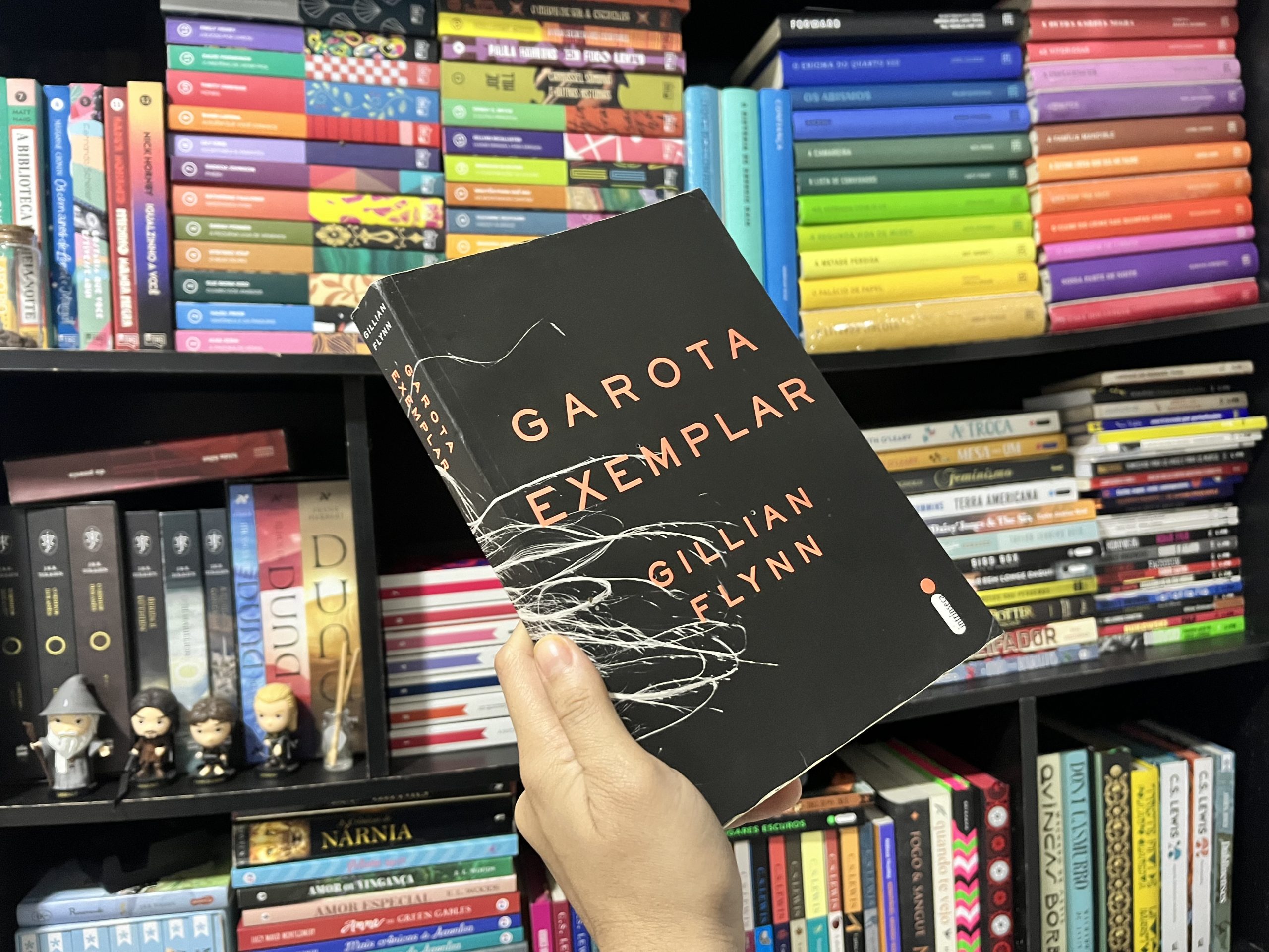 resenha-garota-exemplar