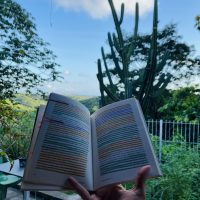 resenha-noites-brancas