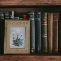 livros-de-romance-para-meninas