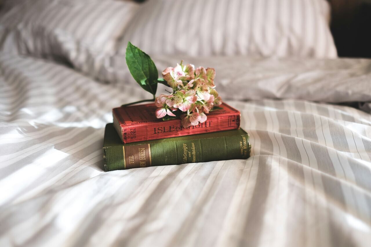 opcoes-de-livros