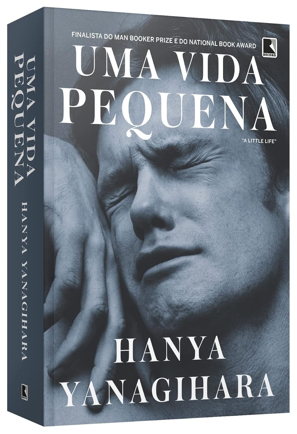 uma-vida-pequena-livro