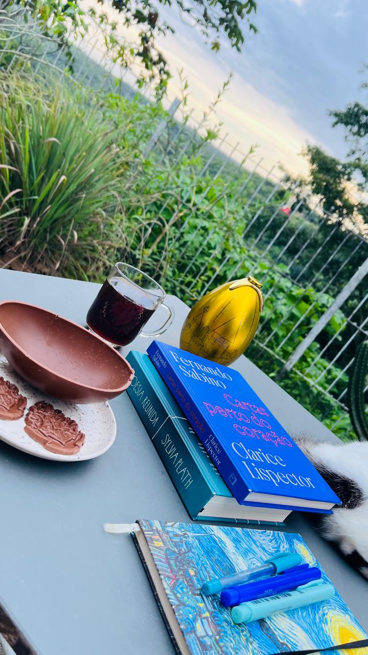 como-ler-livros-e-lembrar