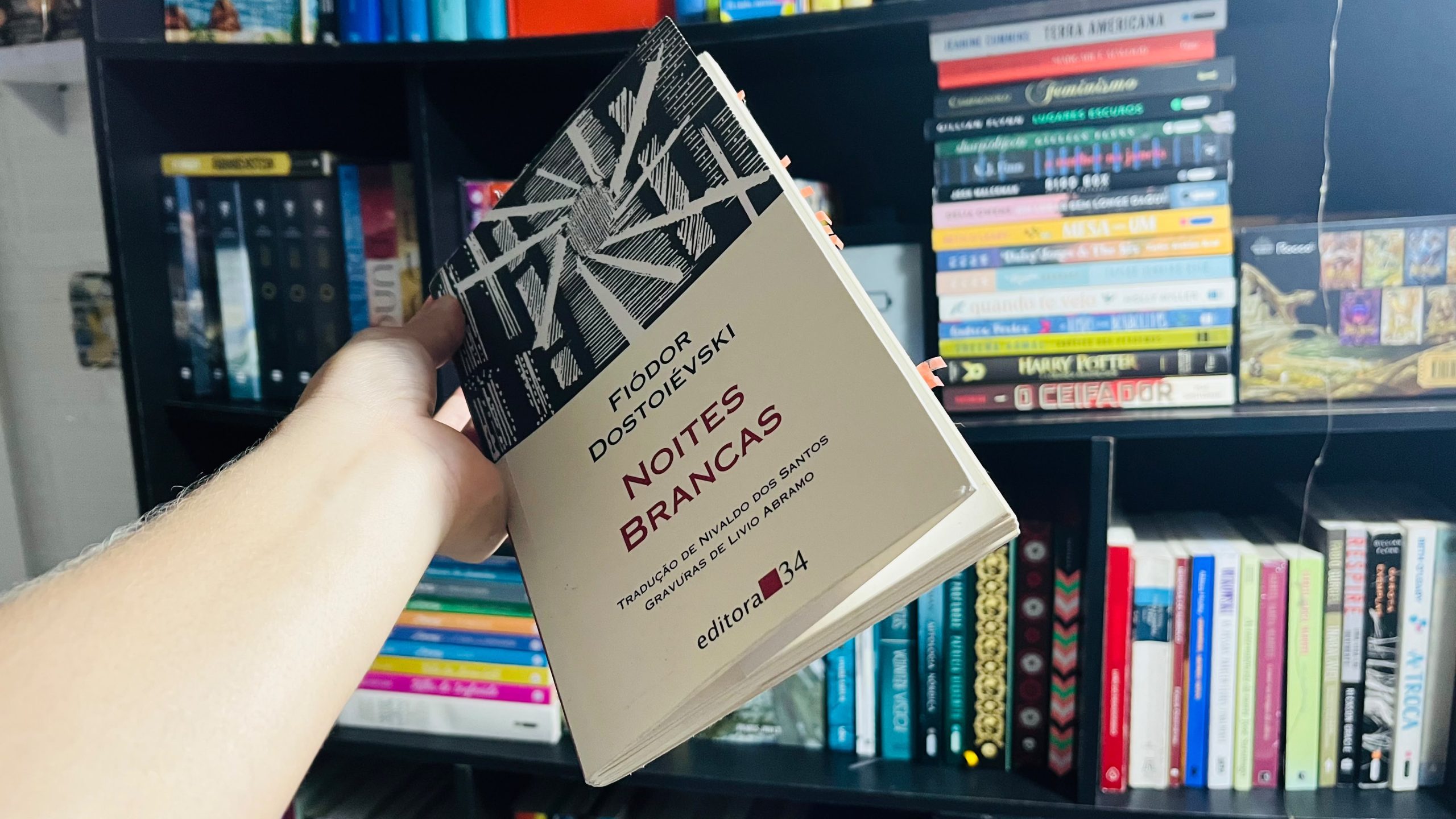 noites-brancas