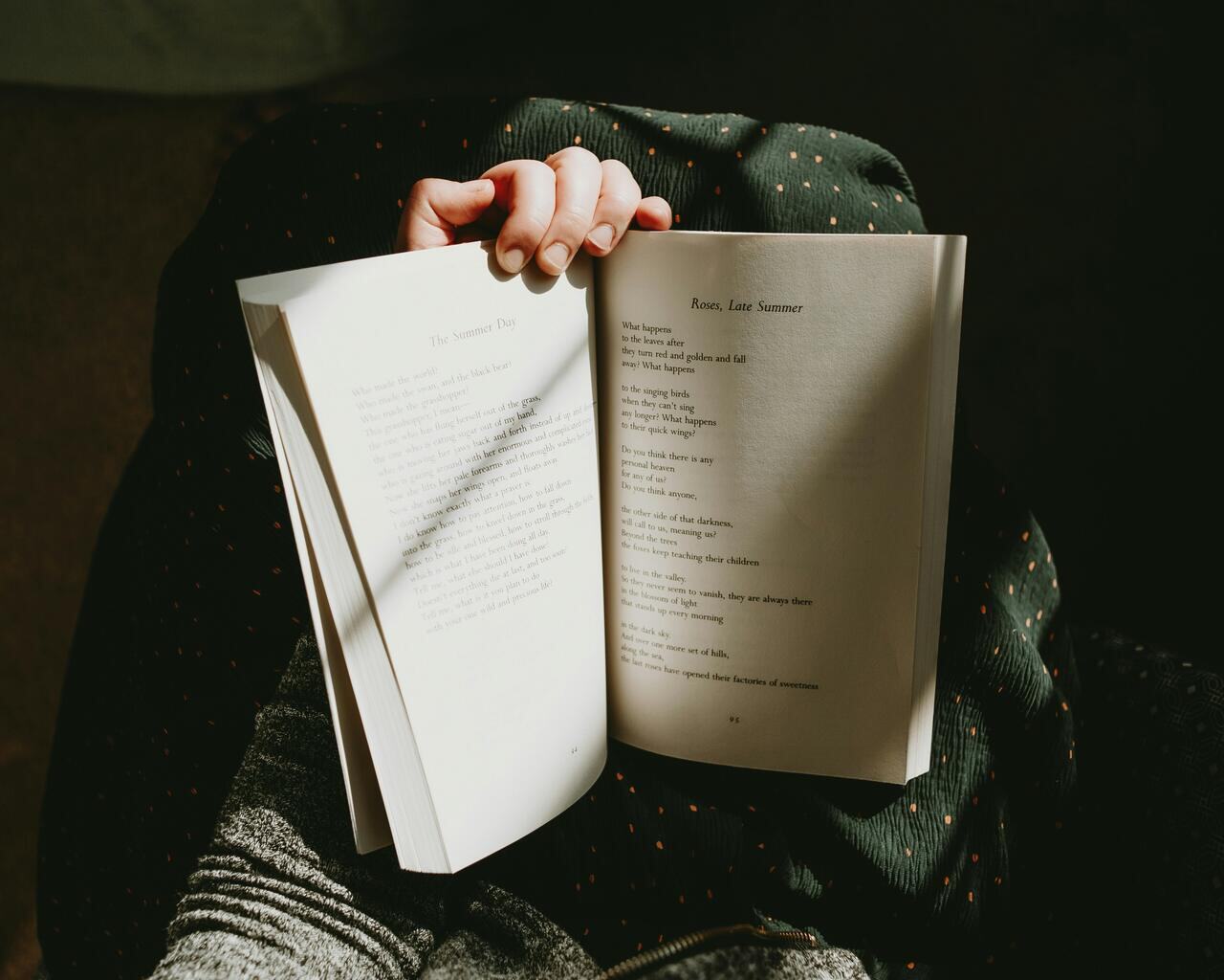 piores-livros-da-colleen-hoover