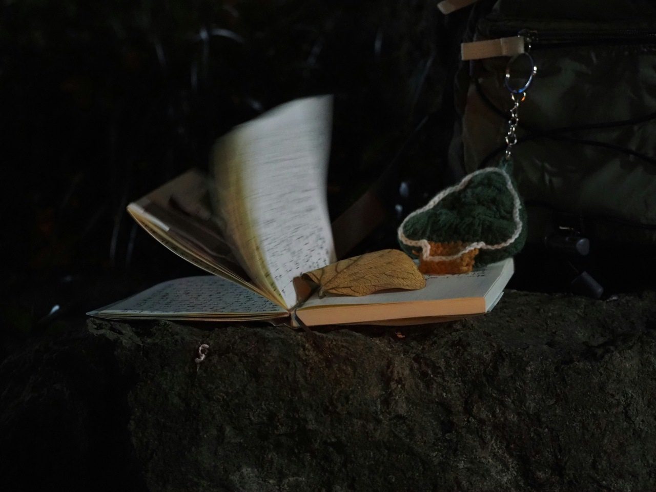 riscos-nos-livros