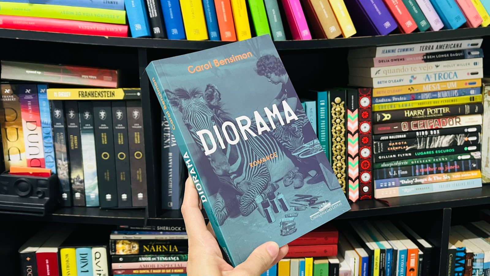 diorama-preco