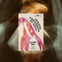livros-de-aline-bei