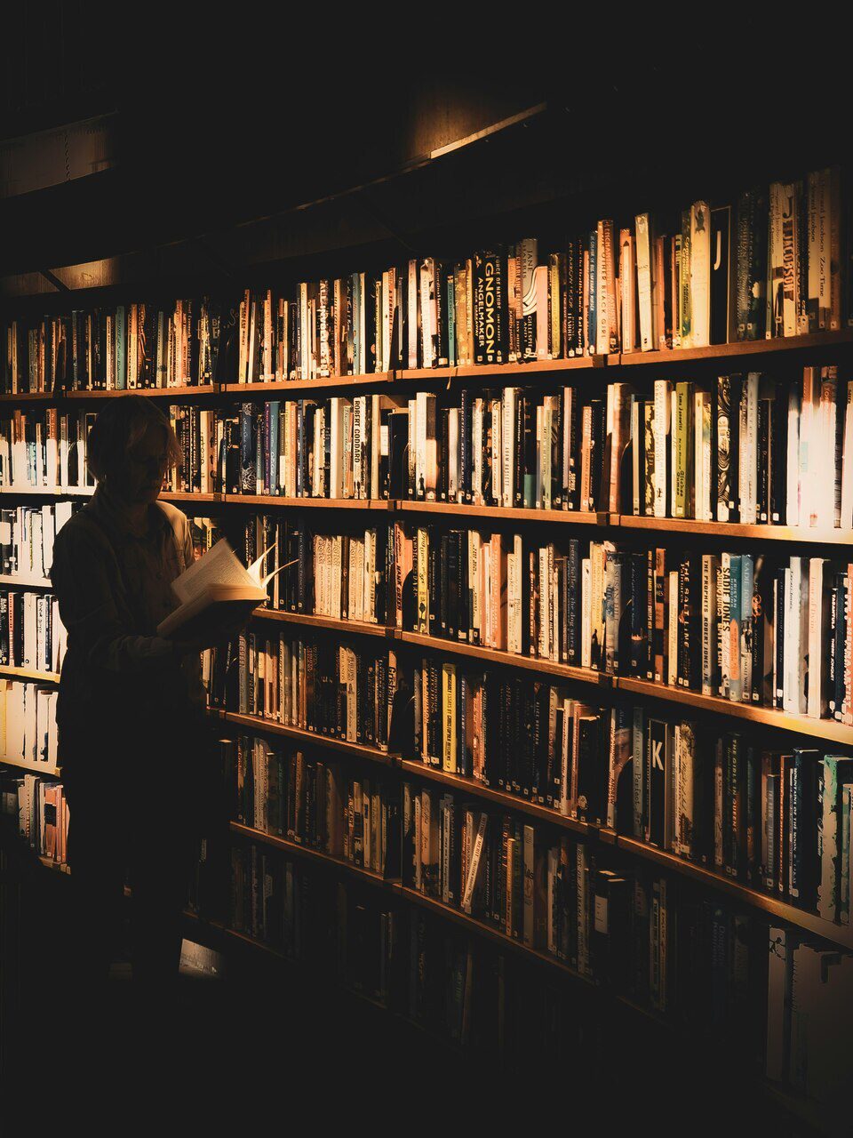 categorias-de-livros